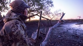 We Hunted A Wood Duck Hole [upl. by Esenaj]