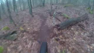 Wompatuck State Park Mountain Biking [upl. by Nuarb]