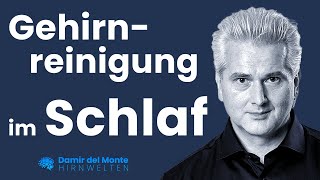 Gehirnreinigung im Schlaf  Glymphatisches System  Dr Dr Damir del Monte  Hirnwelten [upl. by Kho185]