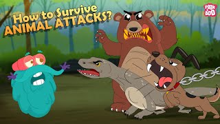 How to Survive Animal Attacks  Bear Dog Shark Komodo Dragon amp Giant Squid  The Dr Binocs Show [upl. by Airdnaxila]