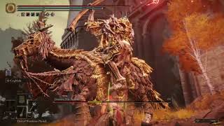 Shin vs Draconic Tree Sentinel Leyndell Capital Gate  Elden Ring RePlay [upl. by Nnayelsel]