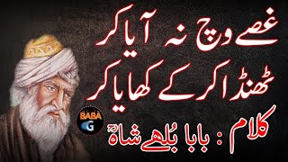 new Kalam baba bulleh shah poetry gusse wech na Aya kar [upl. by Jaban]