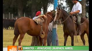 Vivo en Argentina  Bs As  Ayacucho  Destrezas gauchescas  190313 1 de 2 [upl. by Akimot]