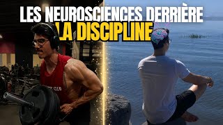 La DISCIPLINE selon les NEUROSCIENCES [upl. by Rawde17]