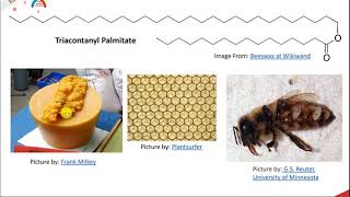 Lipids Part 4 of 12 Waxes [upl. by Atinrehs528]