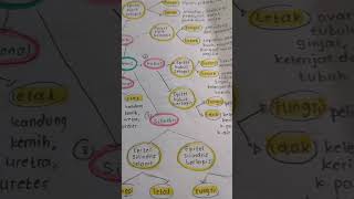 Mind Map Jaringan Epitel epitel tissue biologi biology biologia shorts viralvideo [upl. by Weigle]