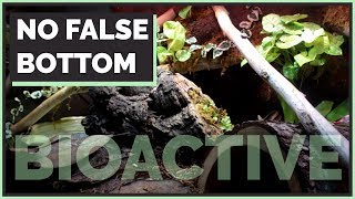 How to Make a Vivarium Without a False Bottom [upl. by Otrebogad442]