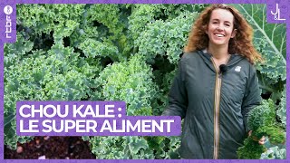 Chou kale  le super aliment au potager facile à cultiver  Jardins et Loisirs [upl. by Orteip]