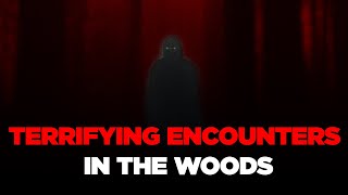 5 Real and Terrifying Experiences in the Woods [upl. by Davis799]