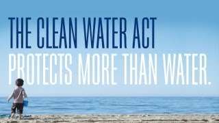 The Clean Water Act Protects More Than Water [upl. by Arahs]