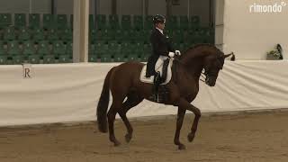 24032024 Zweibrücken Grand Prix de Dressage  1 Dorothee SchneiderVainqueur [upl. by Nylesoy]