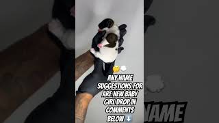 Help with names newpuppy puppy frenchie frenchbulldog bullyworld doglover cutepuppy [upl. by Gisele]