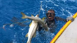 Guerreiros Do Mar PESCA DE ROBALO EM ALTO MAR MUITA ARECÓ ARRAIAS E GUARAJUBA [upl. by Harilda]