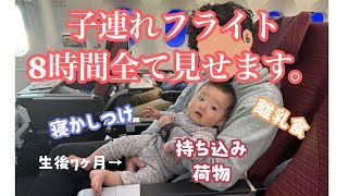 初めての0歳児子連れフライト8時間【ハワイ→日本】 [upl. by Mayfield]