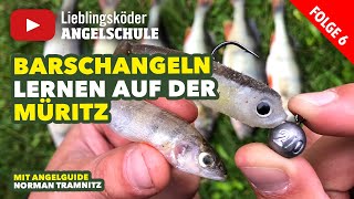 Viele Barsche große Barsche – Barschangeln auf der Müritz Staffel 1 Folge 6 [upl. by Calen]