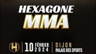 HEXAGONE MMA 14 DIJON [upl. by Grefe574]