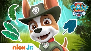 PAW Patrol Mighty Pups Ultimate Animal Rescues w Chase amp Liberty  1 Hour Compilation  Nick Jr [upl. by Lanita]