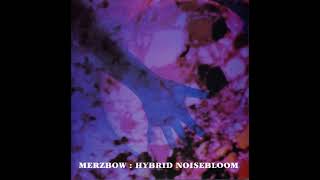 Merzbow – Hybrid Noisebloom Full Album [upl. by Ardnasirk286]