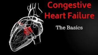 Congestive Heart Failure CHF  Basics Overview [upl. by Albertine]