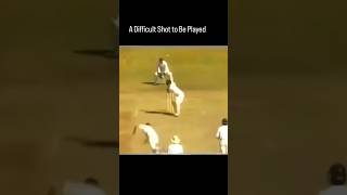 Sachin Tendulkar After Being Hit On Helmet  Revenge In Cricket [upl. by Fen254]