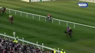 Jockey gets trampled on by a horse [upl. by Novar]