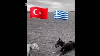 TÜRKÜN GÜCÜ 🇹🇷🇹🇷🇹🇷🇹🇷🇹🇷🇹🇷🇹🇷🇹🇷🇹🇷🇹🇷🇹🇷🇹🇷🇹🇷🇹🇷 [upl. by Ahseeyt896]