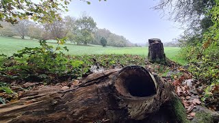 Walking about in Farleigh Woods Live 05112024  Mobile Stream 829 [upl. by Gilemette]