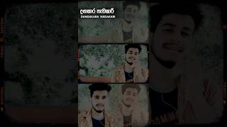 Dangakara Hadakari  දඟකාර හැඩකාරි  Cover  Shanaka shorts shihanmihiranga coversong [upl. by Weinman709]