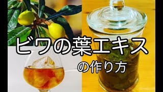 【ビワの葉エキス（チンキ）】の作り方 殺菌・消毒に 民間療法（自然療法）How to make loquat leaf extractJapanese folk remedies [upl. by Prevot517]