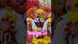 RathaYatraSpcl🌼🌹 jagannath darshan reels ytviral devotional viral haribol 🤍❤️🤍🌼🤍❤️ love 🌿🌼🌿 [upl. by Adirem]