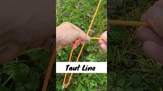 Must Know CAMPING Knots How to Tie A TAUT Line shorts howto knots [upl. by Ellehcyt]