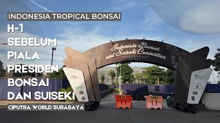 Satu hari sebelum piala presiden bonsai dan suiseki di ciputra world mall surabaya [upl. by Gnay]