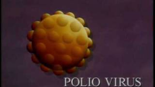 Viruses and Journalism Poliovirus expressing HIV epitopes [upl. by Gurtner]