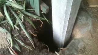 Fitting concrete posts to house in Auchenflower Brisbane Part 1 of 4 [upl. by Yahc]