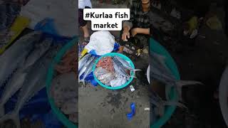 Kurla fish marketkurlafishmarketviral [upl. by Necyrb]