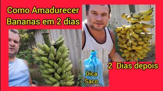 Como amadurecer bananas em 2 dias fácil e natural [upl. by Ativla]