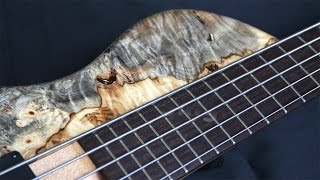 Elrick Evolution Singlecut 5  Buckeye Burl [upl. by Aneis]