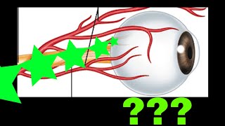 What is a Central Retinal Artery Occlusion [upl. by Iluj]