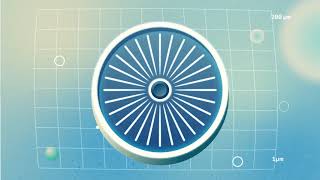 Diatom Sinking Explainer Video [upl. by Bertold]