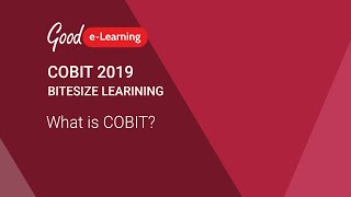 COBIT 2019 Bitesize Learning What is COBIT COBIT 2019 tutorial [upl. by Airom]