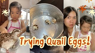 Trying Boiled Quail Eggs w my picky daughter [upl. by Ortrude]