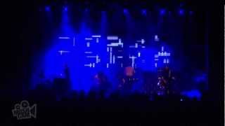 The Dandy Warhols  You Come In Burned Live in Sydney  Moshcam [upl. by Endys]