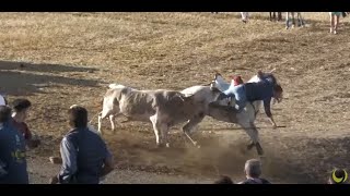 Primer Encierro de Olmedo 2024 [upl. by Nanis888]