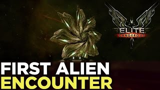 Elite Dangerous FIRST ALIEN CONTACT — Dr Kaii Talks About His Experience [upl. by Nyrrek]