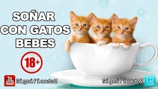 Significado de SOÑAR GATOS BEBES 🔞 ¿Que Significa [upl. by Frida]