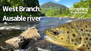 1 Day in ADK  Fishing the Ausable River [upl. by Berti141]