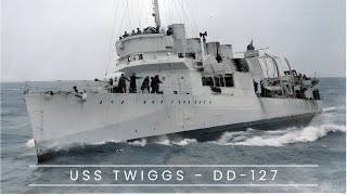 USS Twiggs  DD127 Destroyer [upl. by Mercuri49]