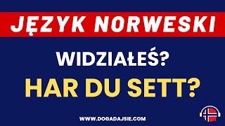 🇳🇴Język norweski Har du sett  Widziałeś  Ćwiczymy Perfektum  wwwdogadajsiecom [upl. by Droffats402]