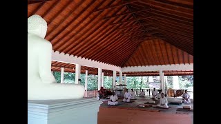 Meditation Program in Meethirigala Nissarana Vanaya  GDAF [upl. by Yerffoej345]