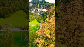 4 SEASONS LUNGERN lake 📍SWITZERLAND 🇨🇭fourseasonlungernswisslandscapesnaturewinterambience [upl. by Adlee]